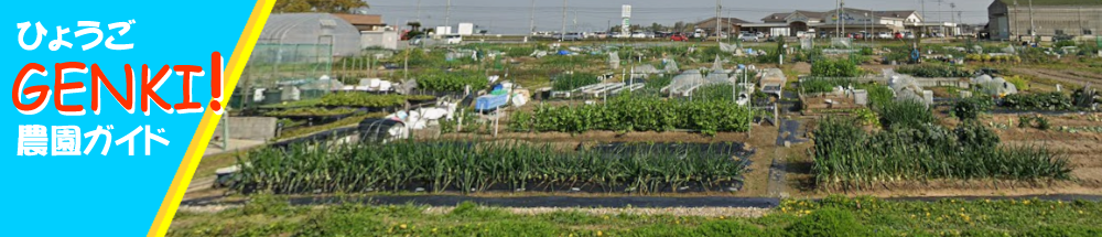 ひょうごGENKI農園