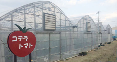 農園看板