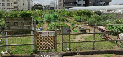 農園のようす