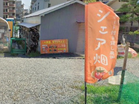 農園風景