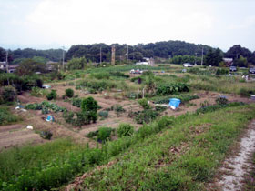農園風景