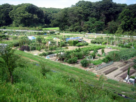 農園風景
