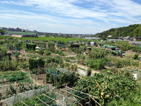 農園風景