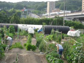 農園風景