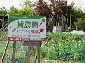農園看板