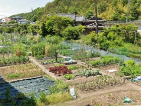 農園風景