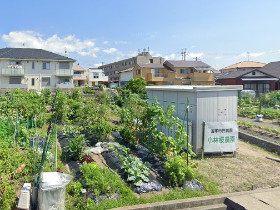 市民農園