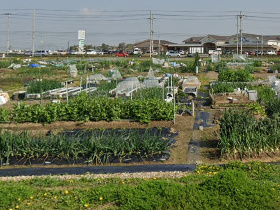 農園風景