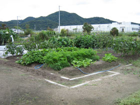 農園風景
