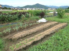 農園風景