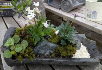 瓦で寄せ植えの写真