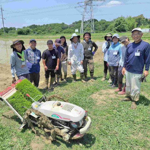 水稲コース