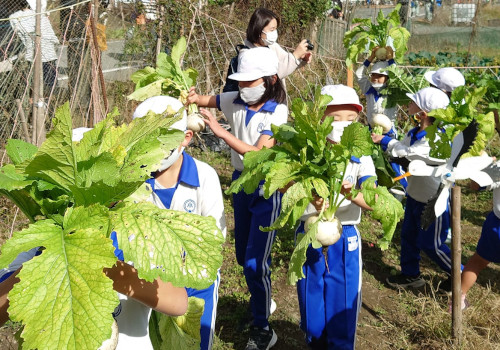 ふるさとむら関ふるさと体験・交流フェア