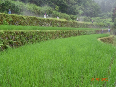 ふるさとむら高柳下