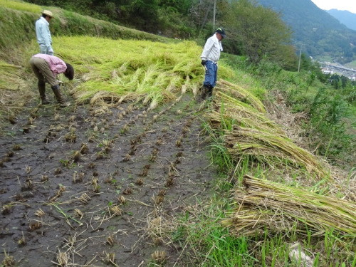 ふるさとむら高柳下