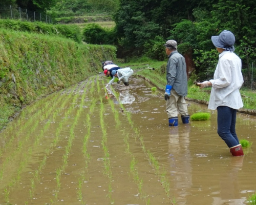 ふるさとむら高柳下