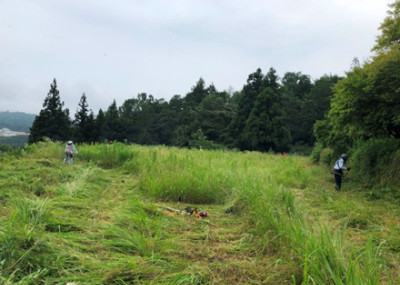 ふるさとむら高柳下の写真