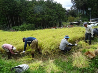 ふるさとむら高柳下の写真