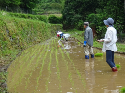 ふるさとむら高柳下の写真