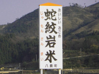 ふるさとむら高柳下